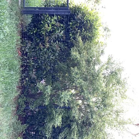 Charming 2 Garden Level With Garage